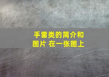 手雷类的简介和图片 在一张图上